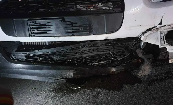 L’auto danneggiata dopo l’impatto con due cinghiali in via Palestro