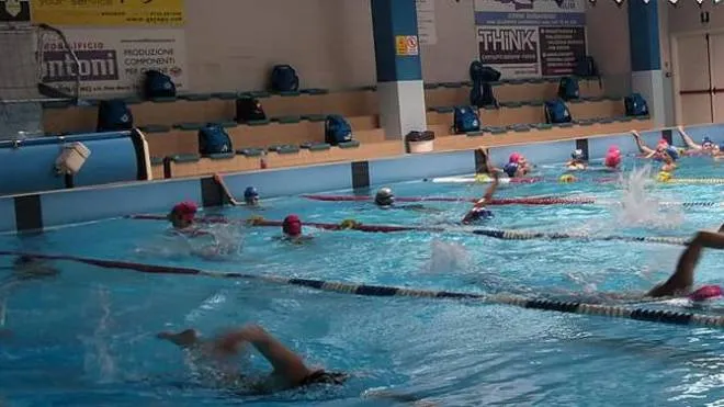 Nell’impianto natatorio di San Severino si tengono diversi corsi e iniziative