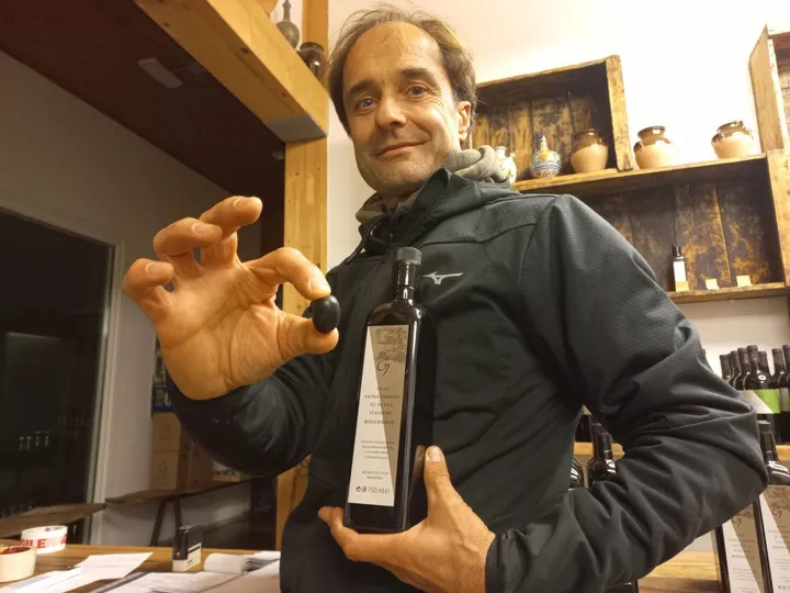 L’oliva e l’olio extravergine, due valori da masticare con Giordano Galiardi