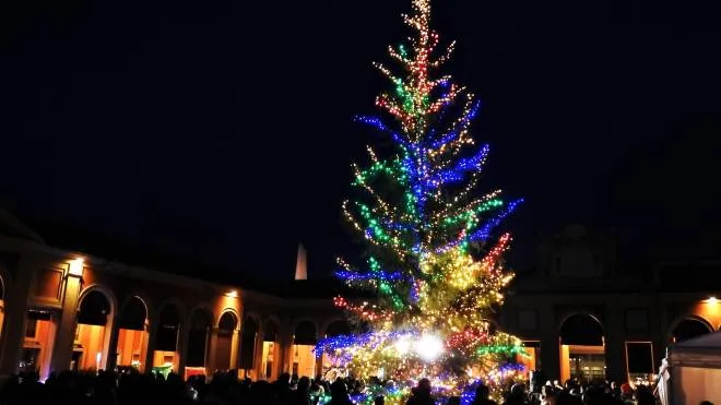 L’albero di Natale di Lugo nel Pavaglione