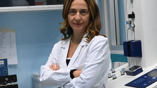 Francesca Bonifazi, alla guida del programma di Terapie cellulari avanzate