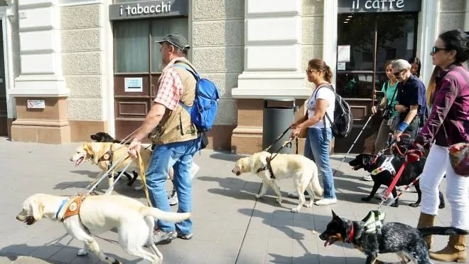 Il gruppo dei non vedenti è partito con i cani-guida dalla stazione ferroviaria ed è arrivato a piedi fino alla darsena dove si trova l’hotel St.Gregory