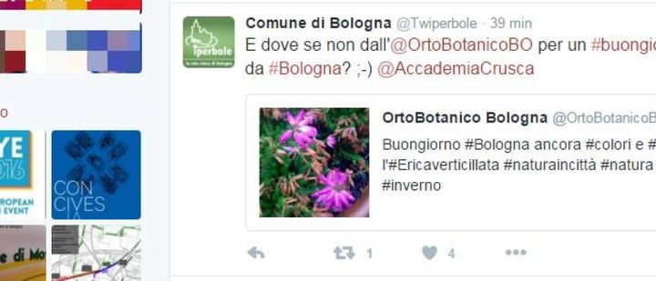 Nenche il Comune di Bologna resiste al topic (Foto da Twitter)