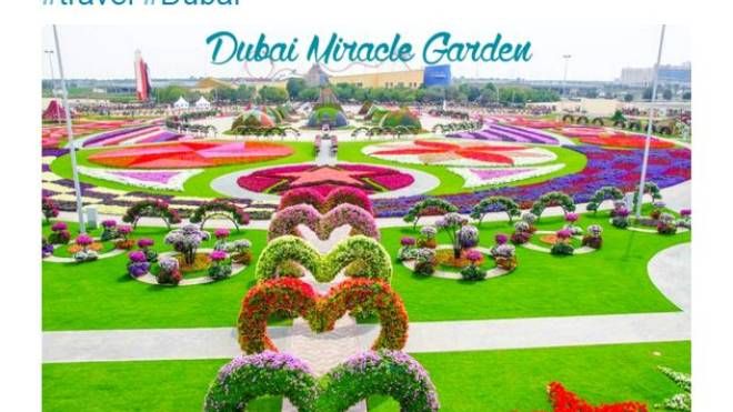 Una cartolina "petalosa" da Dubai