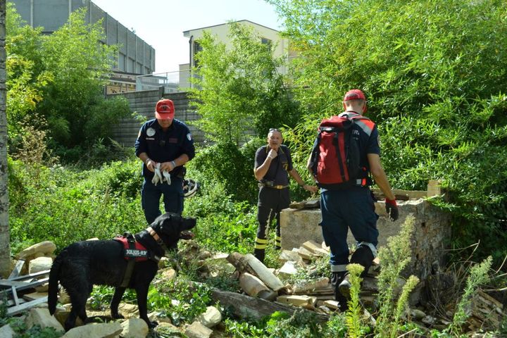 I vigili del fuoco e la protezione civile battono tutta Cupra con i cani molecolari (foto Ferreri)