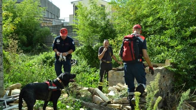 I vigili del fuoco e la protezione civile battono tutta Cupra con i cani molecolari (foto Ferreri)