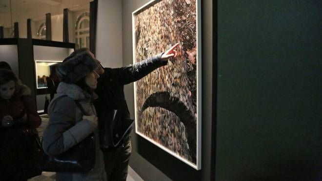 La mostra 'Terraforming fantasies' a Palazzo De' Toschi (FotoSchicchi)