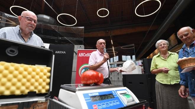 La tappa bolognese della gara regionale della coltivazione del pomodoro “gigante” (foto Schicchi)