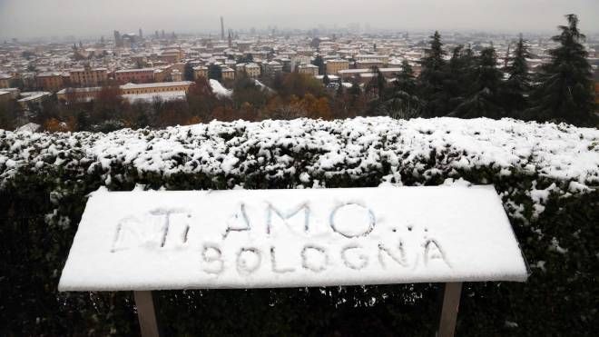 Veduta di Bologna imbiancata (FotoSchicchi)