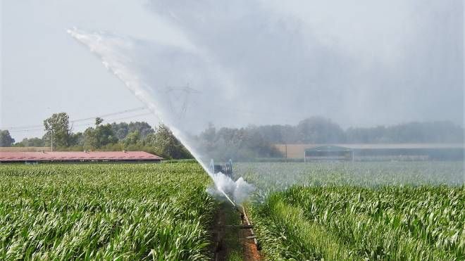 Irrigazione mais a Villa Pianta (Scardovi)