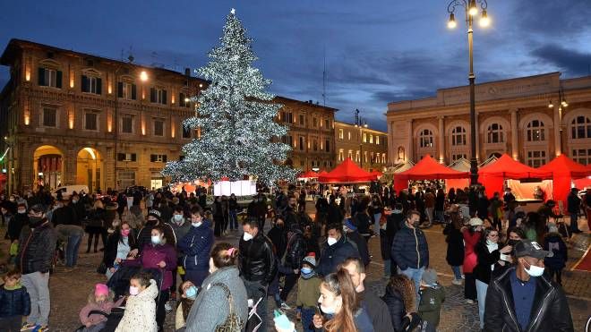 Pesaro nel Cuore del Natale 2021. L'albero illuminato