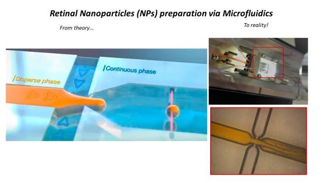 Preparazione di nanoparticelle via microfluidica laminare
