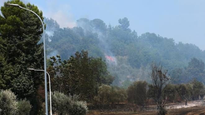 L'incendio a ridosso delle abitazione a Valle Venere, ad Ascoli (foto LaBolognese)