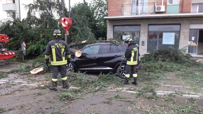 Funo, automobile colpita da un albero in via Galliera (foto Trombetta)