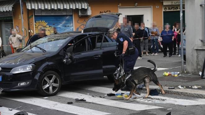 In azione anche i cani della Polizia locale.(Foto Schicchi)