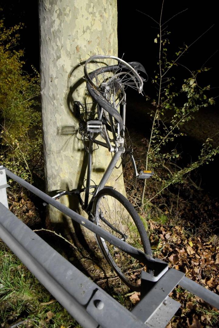 Una bicicletta si è schiantata contro un platano a lato della strada, l'altra è stata proiettata al centro della via Pomposa (foto Businesspress)
