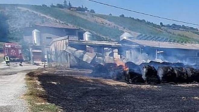 Incendio a Bologna: capannone distrutto in Valsamoggia