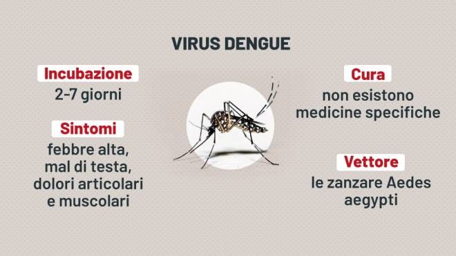 Dengue: sintomi e cura del virus